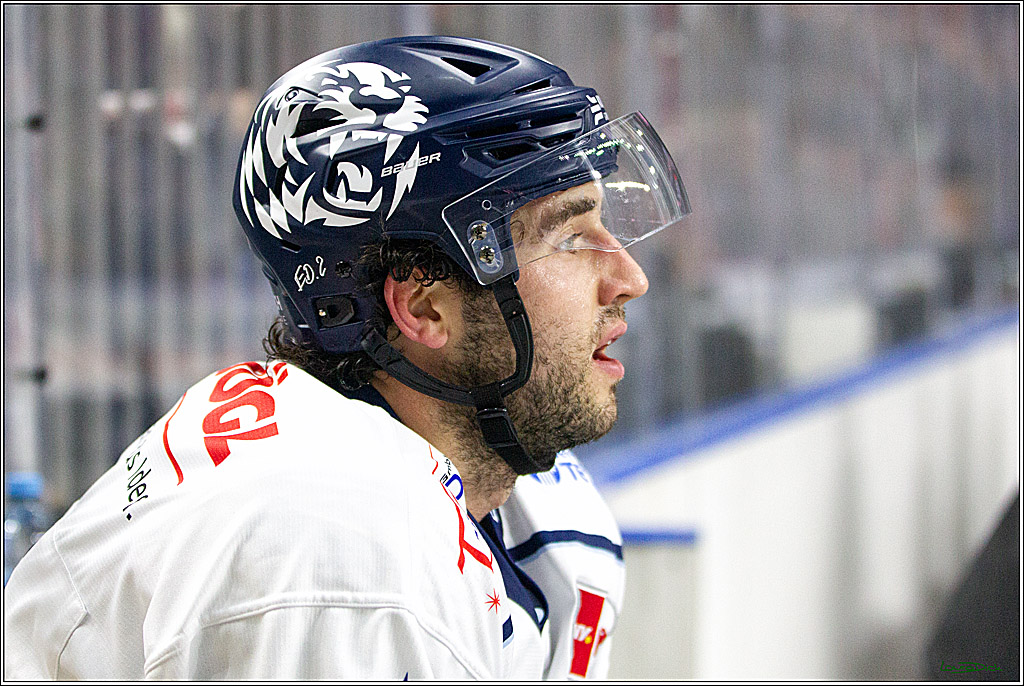 PENNY DEL;  Koelner Haie - Straubing Tigers; Koeln, 15.10.2021